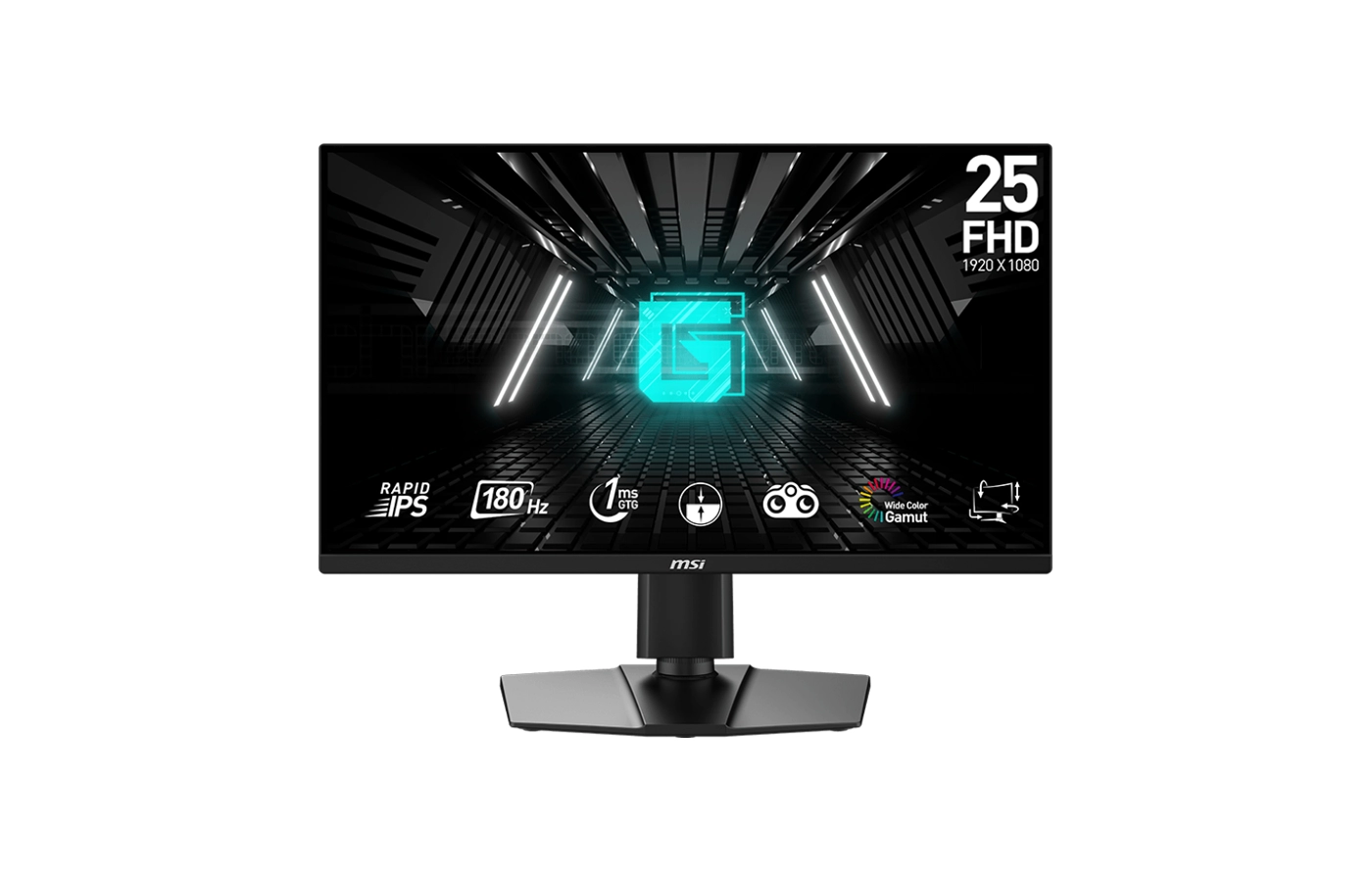 MSI G255PE E2 FHD Gaming Price in Nepal